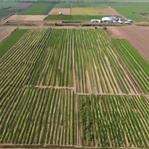 Landwirtschaftliche Helfer in Sachsen finden