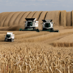 Landwirtschaftliche Helfer in Bottrop