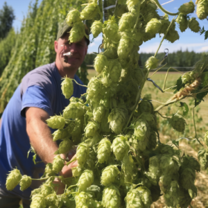 Landwirtschaftliche Helfer für die Hopfenernte im Frühling